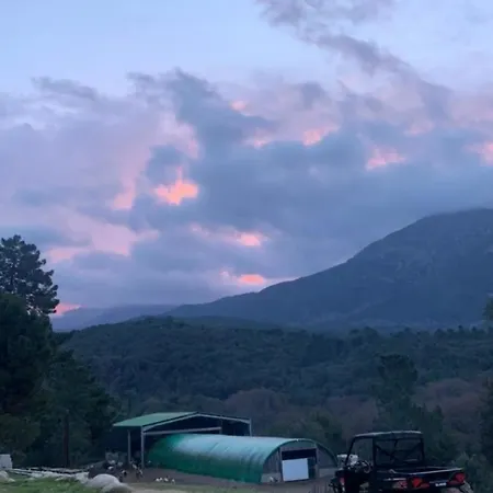 Domaine L Alba Scelta בית נופש *