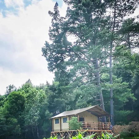 Domaine L Alba Scelta Ucciani