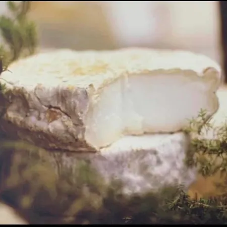 בית נופש Domaine L Alba Scelta