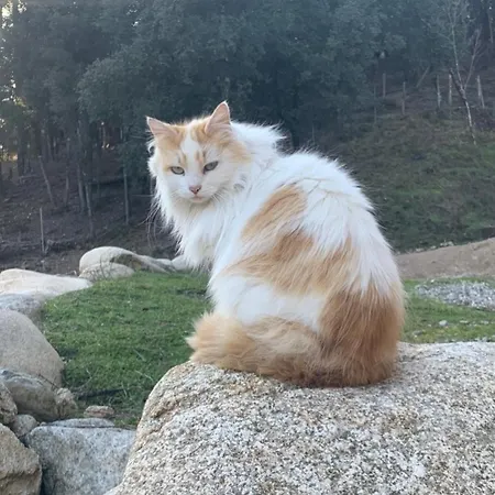 בית נופש Domaine L Alba Scelta Ucciani