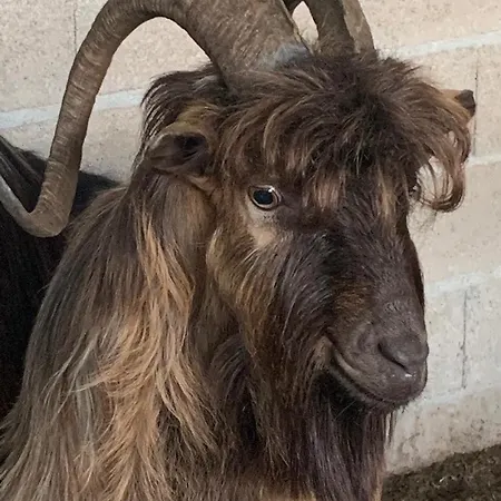 Domaine L Alba Scelta