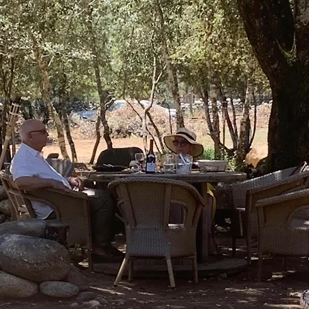 Domaine L Alba Scelta