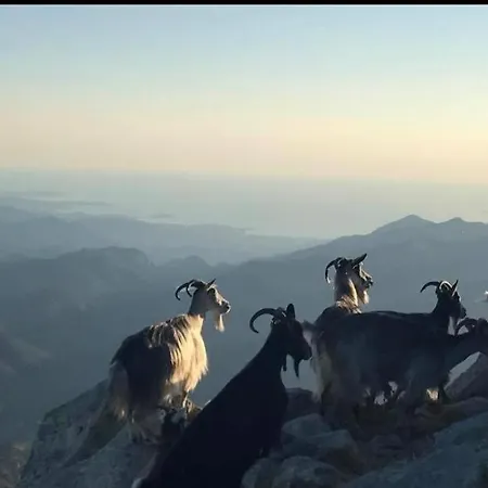 Domaine L Alba Scelta Ucciani