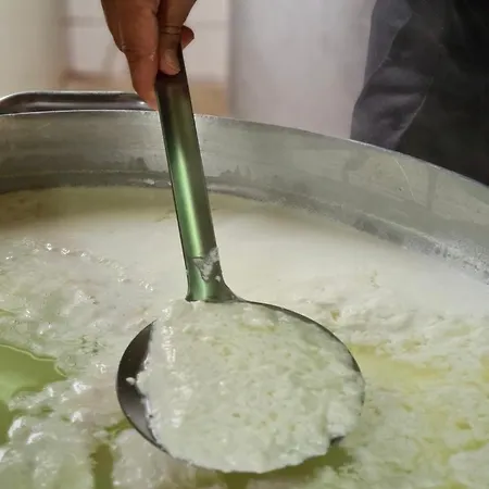 Domaine L Alba Scelta בית נופש