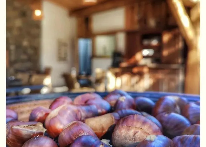 Domaine L Alba Scelta Nyaraló *