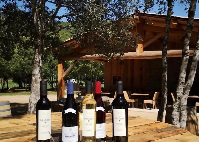 Domaine L Alba Scelta * Ucciani