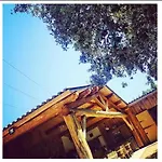 Holiday home Domaine L Alba Scelta Ucciani