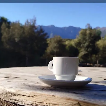 Domaine L Alba Scelta *