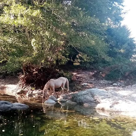 Domaine L Alba Scelta Hébergement de vacances *