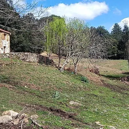 Domaine L Alba Scelta Ucciani