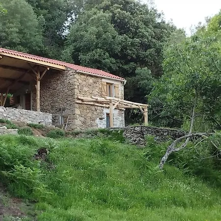 Domaine L Alba Scelta *
