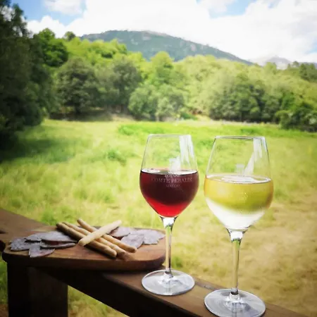 Hébergement de vacances Domaine L Alba Scelta
