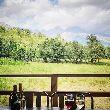 Domaine L Alba Scelta Hébergement de vacances Ucciani
