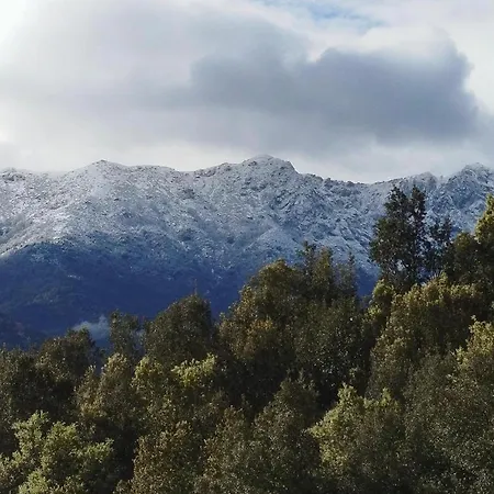 Domaine L Alba Scelta *