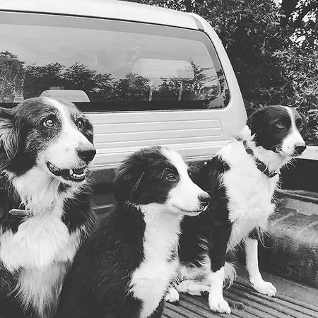 Domaine L Alba Scelta Semesterbostad *