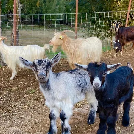 Domaine L Alba Scelta * Ucciani