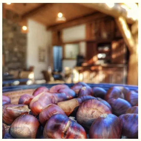 Domaine L Alba Scelta Semesterbostad *