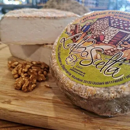 Semesterbostad Domaine L Alba Scelta