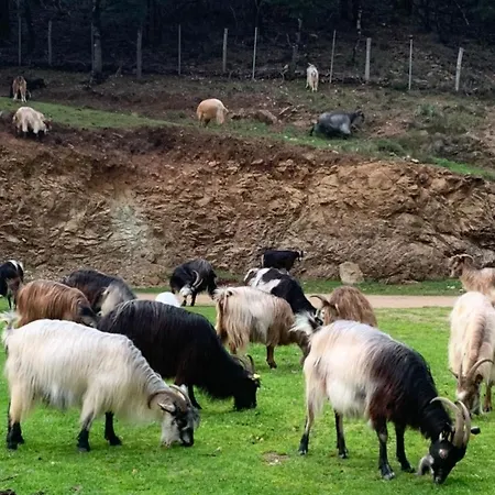 Domaine L Alba Scelta Ucciani