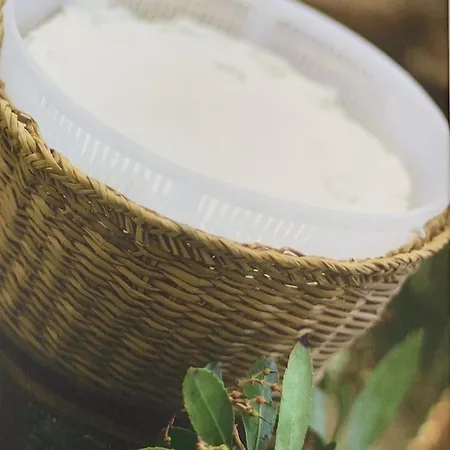 Hébergement de vacances Domaine L Alba Scelta *