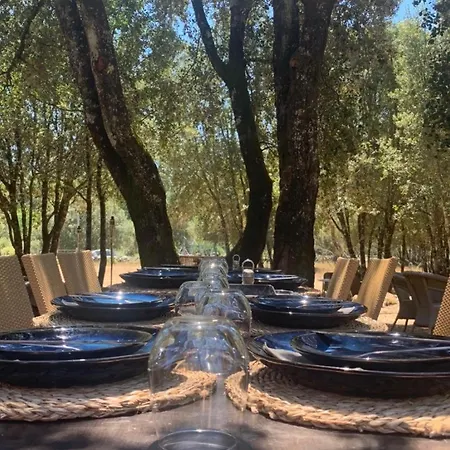 Hébergement de vacances Domaine L Alba Scelta *