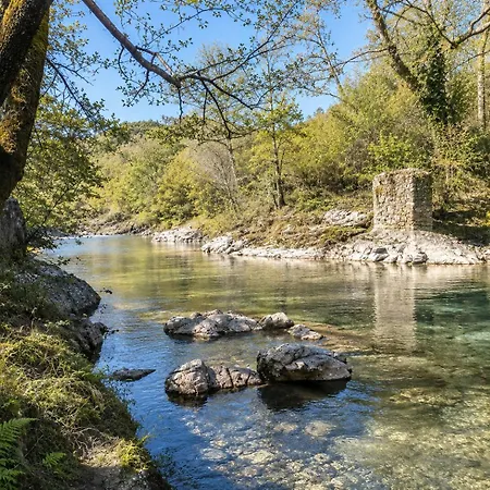 Domaine L Alba Scelta Holiday home