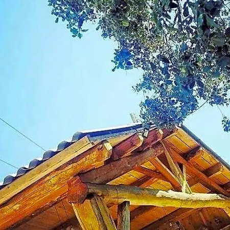 Domaine L Alba Scelta *