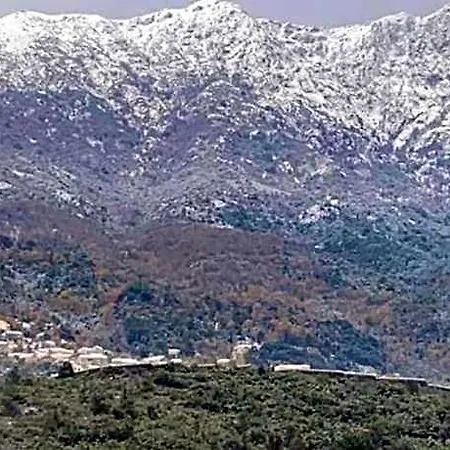 Domaine L Alba Scelta