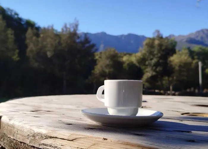 Domaine L Alba Scelta *