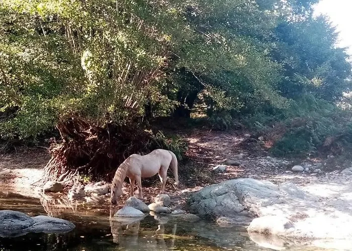 Domaine L Alba Scelta Сasa de vacaciones *