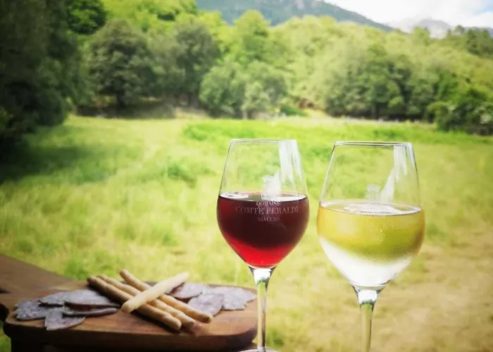 Сasa de vacaciones Domaine L Alba Scelta