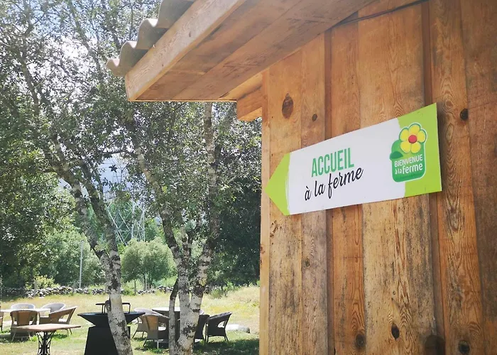 Domaine L Alba Scelta