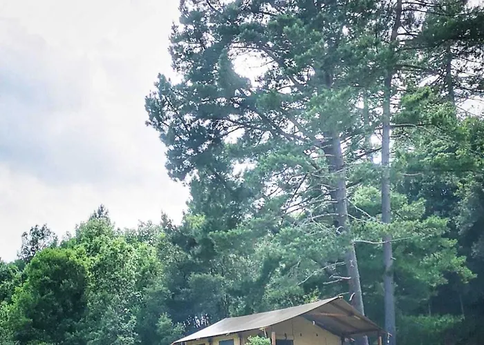 Domaine L Alba Scelta Ucciani