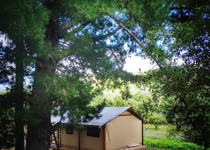 Domaine L Alba Scelta Ucciani