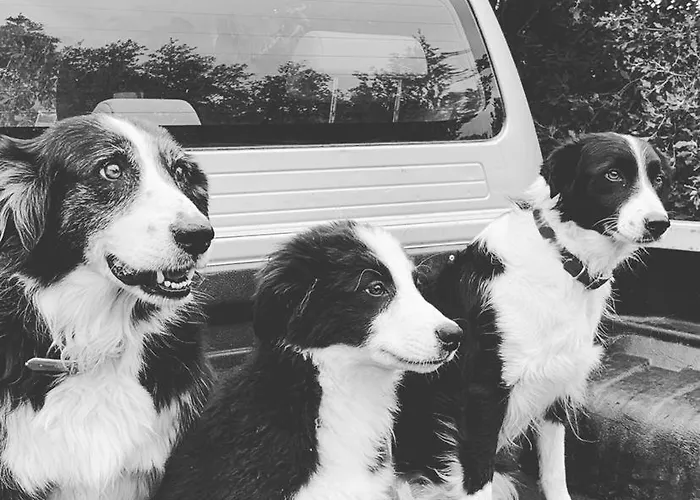 Domaine L Alba Scelta Tatil Evi *