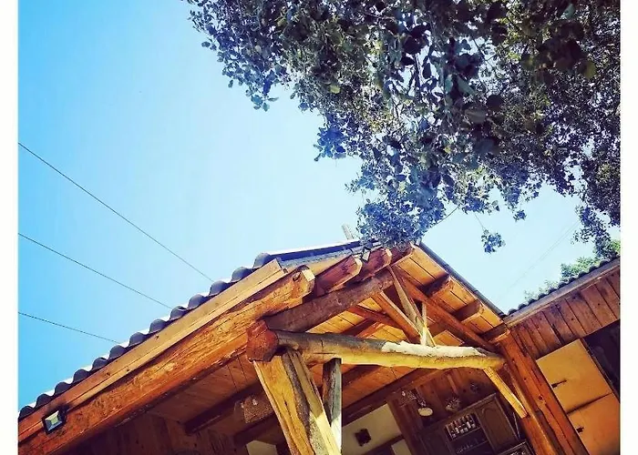 Tatil Evi Domaine L Alba Scelta Ucciani